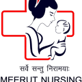 Meerut Nursing College profile picture